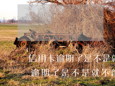 信用卡逾期了是不是就不能貸款了-信用卡逾期了是不是就不能貸款了呀