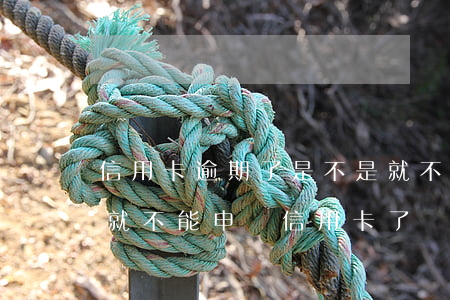 信用卡逾期了是不是就不能貸款了(逾期之后就不能申請信用卡了嗎)