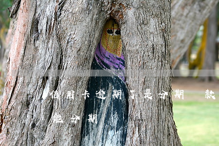 信用卡逾期了是分期還款 分期付款逾期過還能分期嗎