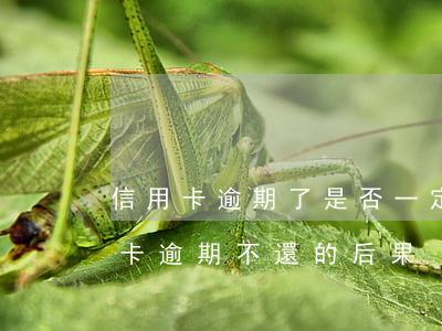 信用卡逾期了是否一定要全額還清-欠信用卡逾期不還的后果