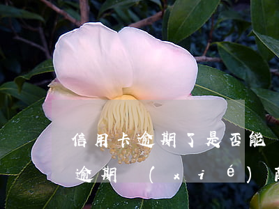 信用卡逾期了是否能協(xié)商(信用卡 逾期 協(xié)商)