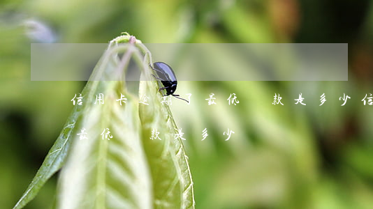 信用卡逾期了最低還款是多少(信用卡逾期了最低還款是多少錢)