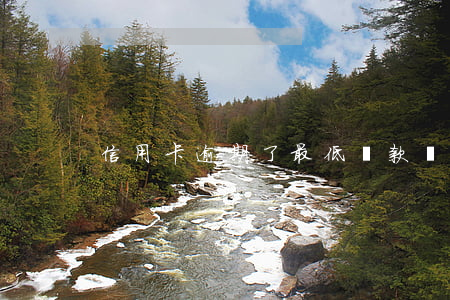 信用卡逾期了最低還款會(huì)上征信