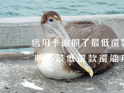 信用卡逾期了最低還款還能用嗎-信用卡逾期了最低還款還能用嗎知乎