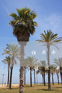 信用卡逾期了最新的規(guī)定(什么是信用卡嚴(yán)重逾期)