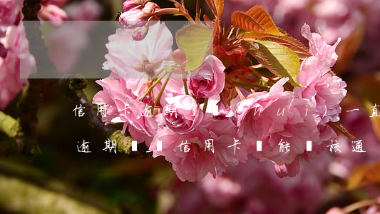 信用卡逾期了會(huì)一直出賬單嗎(有逾期記錄信用卡還能審核通過(guò)嗎)