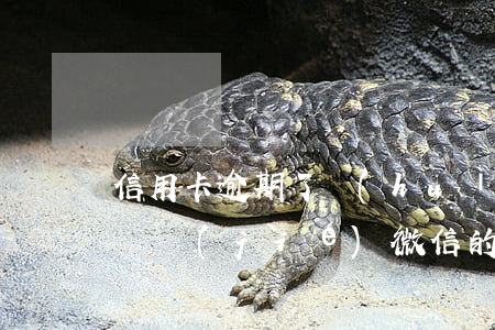 信用卡逾期了會(huì)不會(huì)凍結(jié)微信的錢 欠信用卡會(huì)封微信嗎