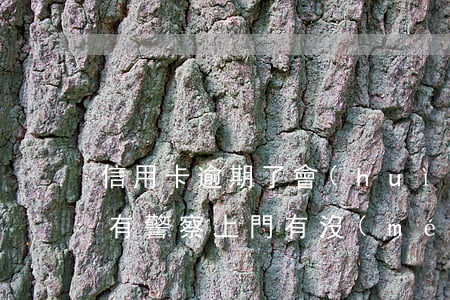 信用卡逾期了會(huì)不會(huì)有警察上門(有沒(méi)有信用卡逾期上門的)