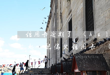 信用卡逾期了會(huì)不會(huì)起訴配偶(欠信用卡會(huì)連累配偶子女嗎)