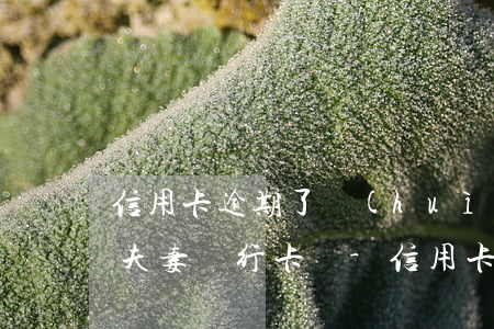 信用卡逾期了會(huì)凍結(jié)夫妻銀行卡嗎-信用卡逾期了會(huì)凍結(jié)夫妻銀行卡嗎安全嗎