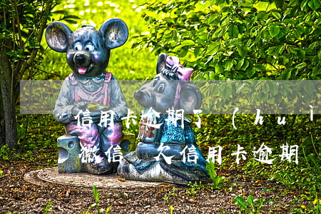 信用卡逾期了會(huì)凍結(jié)微信嗎(欠信用卡逾期會(huì)凍結(jié)微信嗎)