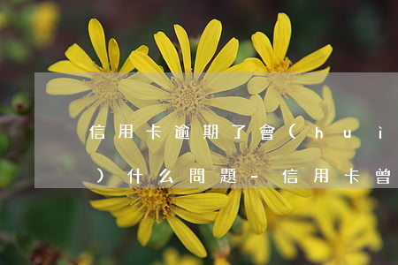 信用卡逾期了會(huì)出現(xiàn)什么問題-信用卡 曾經(jīng)有逾期 影響