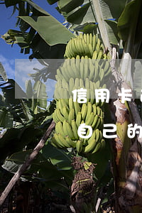 信用卡逾期了會(huì)寄到-收到不是自己的信用卡逾期短信