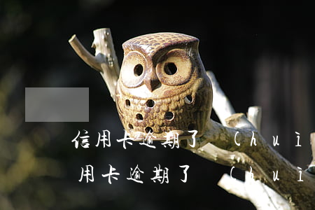 信用卡逾期了會(huì)影響備用金嗎（信用卡逾期了會(huì)影響備用金嗎）
