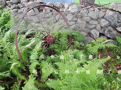 信用卡逾期了會(huì)從老婆卡里扣錢嗎-信用卡逾期了會(huì)從老婆卡里扣錢嗎怎么辦