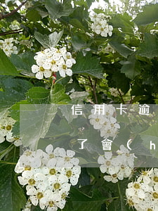 信用卡逾期了會(huì)怎樣?(信用卡逾期了會(huì)怎樣后果)