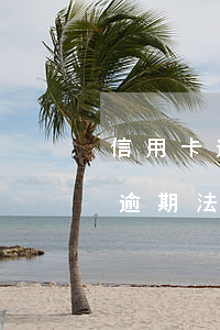信用卡逾期了會(huì)收到傳票(信用卡逾期法院寄傳票)