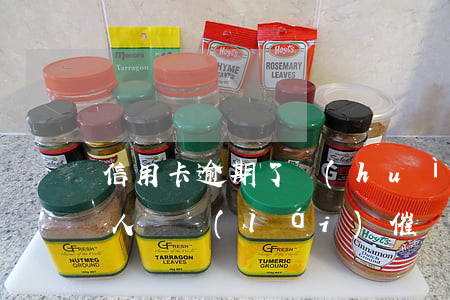 信用卡逾期了會(huì)有專業(yè)人員來(lái)催嗎-信用卡逾期了會(huì)有專業(yè)人員來(lái)催嗎怎么辦