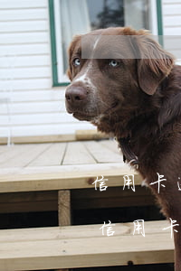 信用卡逾期了會(huì)有短信提醒嗎 是信用卡逾期了 打電話通知提醒他們的