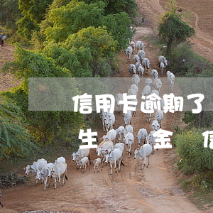 信用卡逾期了會(huì)產(chǎn)生違約金嗎(信用卡 逾期 后果)