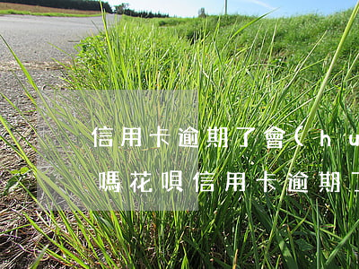信用卡逾期了會(huì)直接從銀行卡扣嗎花唄（信用卡逾期了會(huì)直接從銀行卡扣嗎）