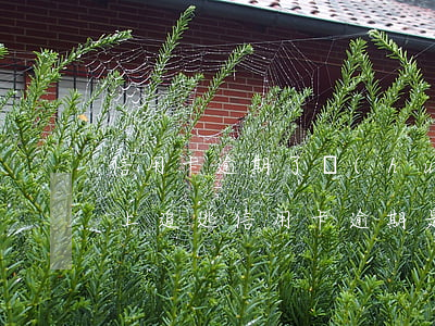 信用卡逾期了會(huì)網(wǎng)上追逃(信用卡逾期是否被列入在逃人員)
