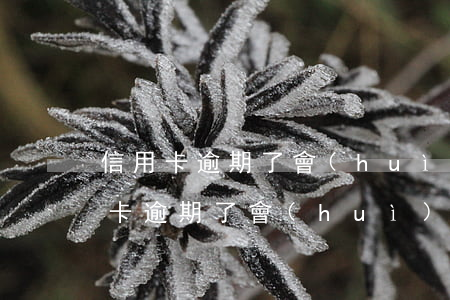 信用卡逾期了會(huì)線下走訪么(信用卡逾期了會(huì)線下走訪么)