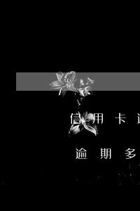 信用卡逾期了會(huì)被逮捕嗎 “信用卡逾期多久會(huì)被起訴”