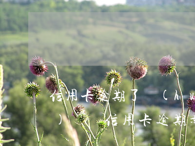 信用卡逾期了會(huì)轉(zhuǎn)賬嗎(信用卡逾期影響儲(chǔ)蓄卡轉(zhuǎn)賬嗎)