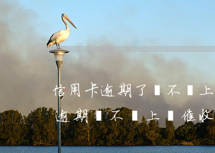 信用卡逾期了會不會上門催(信用卡,小額貸款逾期會不會上門催收)