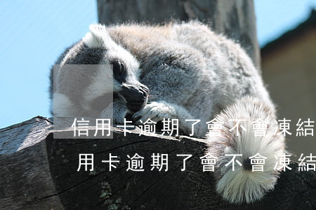 信用卡逾期了會不會凍結(jié)卡片(信用卡逾期了會不會凍結(jié)卡片)