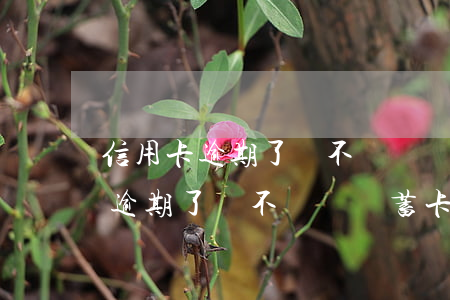 信用卡逾期了會不會從儲蓄卡里扣-信用卡逾期了會不會從儲蓄卡里扣錢