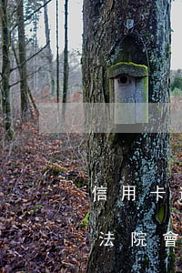 信用卡逾期了會不會聯(lián)合起訴(法院會受理信用卡逾期案件嗎)