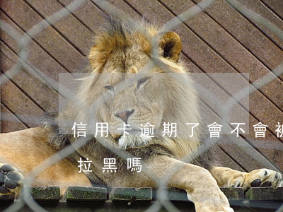 信用卡逾期了會不會被拉黑(逾期了征信會被拉黑嗎)