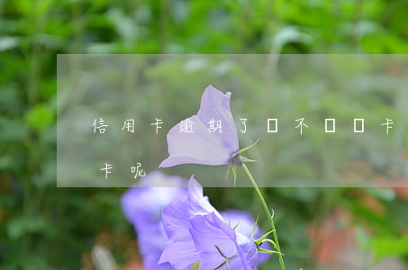 信用卡逾期了會不會鎖卡(信用卡為什么會鎖卡呢)