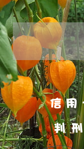 信用卡逾期了會判刑嗎(信用卡逾期多少會被判刑)