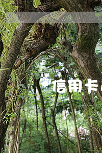 信用卡逾期了會多還嗎(欠信用卡逾期會被起訴嗎)