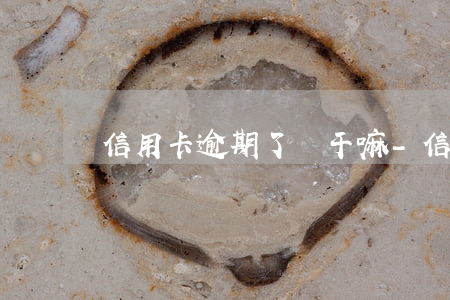 信用卡逾期了會干嘛-信用卡逾期了會干嘛