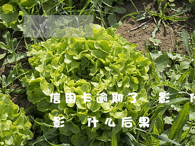 信用卡逾期了會影響什么-信用卡逾期了會影響什么后果