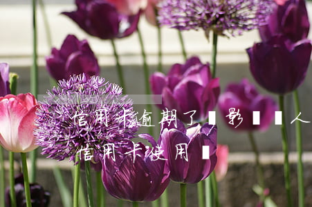 信用卡逾期了會影響別人嗎(逾期會影響其他信用卡使用嗎)