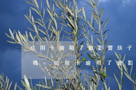 信用卡逾期了會影響孩子們上學(xué)嗎-信用卡逾期了會影響孩子們上學(xué)嗎知乎