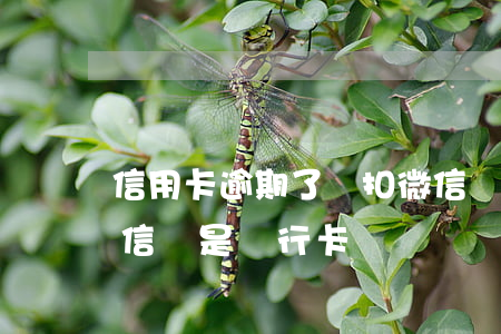 信用卡逾期了會扣微信錢包嗎(逾期后錢放微信還是銀行卡)