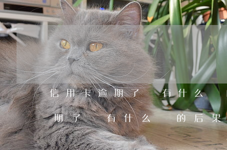 信用卡逾期了會有什么樣的后果-信用卡逾期了會有什么樣的后果