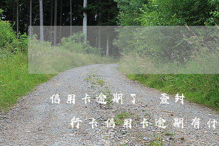 信用卡逾期了會查封財產(chǎn)嗎-銀行卡信用卡逾期有什么后果