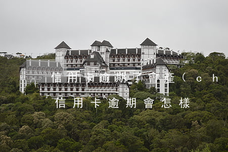 信用卡逾期了會產(chǎn)生利息嗎(欠信用卡逾期會怎樣)