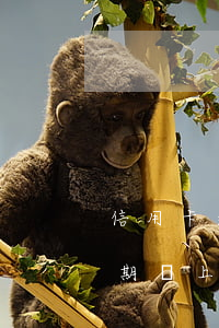 信用卡逾期了會被上門催收嗎(現在信用卡逾期會上門催收嗎)