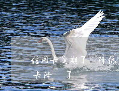 信用卡逾期了會降低嗎?(沒有逾期為什么信用卡降額了)