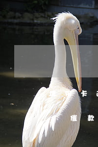 信用卡逾期了有人來催款 信用卡逾期了有人來催款