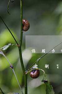 信用卡逾期了有人加我微信能加嗎-信用卡逾期了有人加我微信能加嗎安全嗎