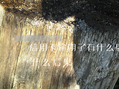 信用卡逾期了有什么后果-信用卡逾期了有什么后果沒